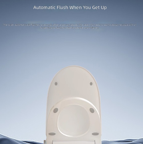 Heated Smart Toilet Seat, Auto - Home For Bathroom ulasan dan harga